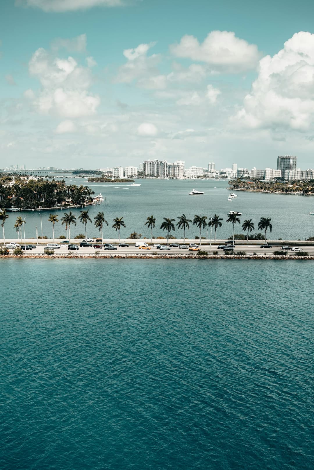 Best Plastic Surgeons in Miami (2025 Guide) (city-wide)