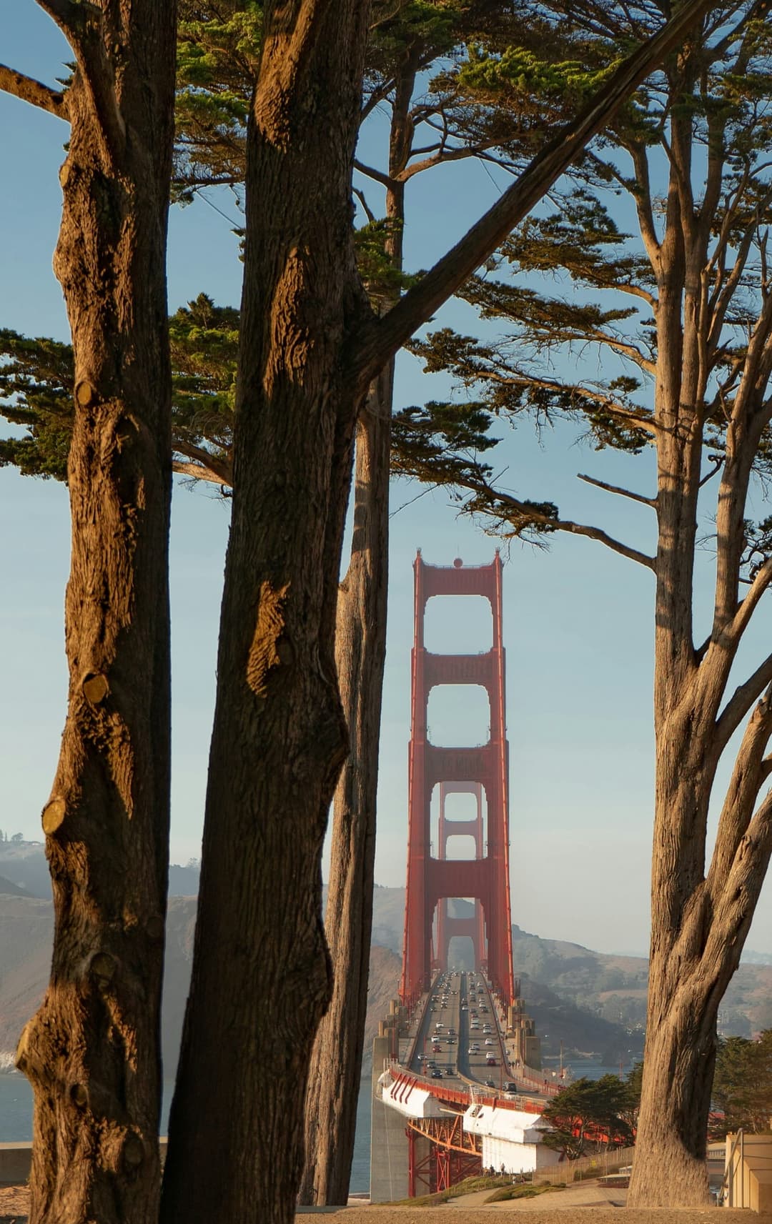 Best Liposuction Surgeons in San Francisco (2025 Guide)