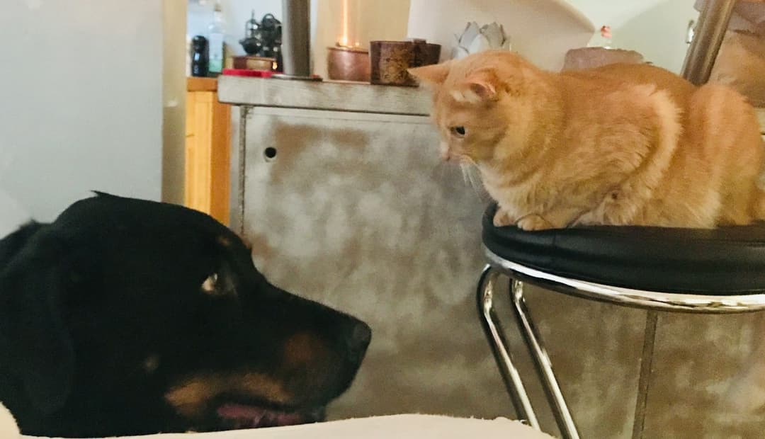 How to Handle It If You Don’t Click With a Surgeon